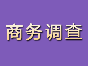 甘肃商务调查